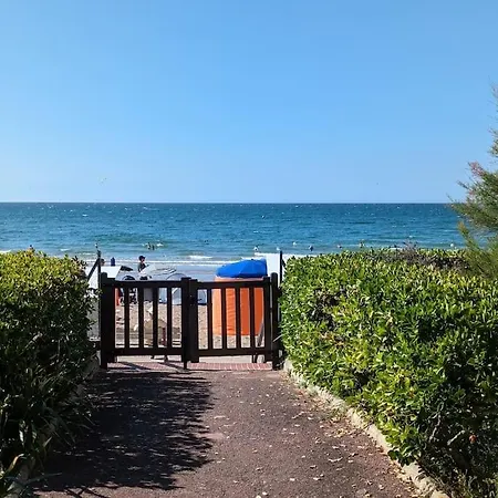 Les Sables D'or - Acces Direct Plage, Vue Mer, Terrasses, Parking Διαμέρισμα *